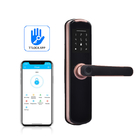 Serrure de porte de WiFi d'empreinte digitale de FPC Thumbprint 0.1S biométrique Keyless
