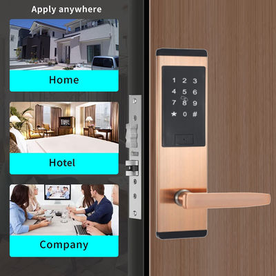 Fermeture de porte à clavier en acier inoxydable de couleur noire avec application TTlock Smart