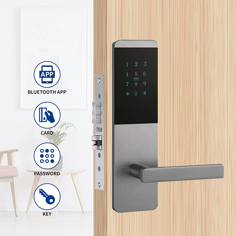 4 en 1 appartement en alliage d'aluminium Smart TTlock verrouillage de porte avec clavier tactile